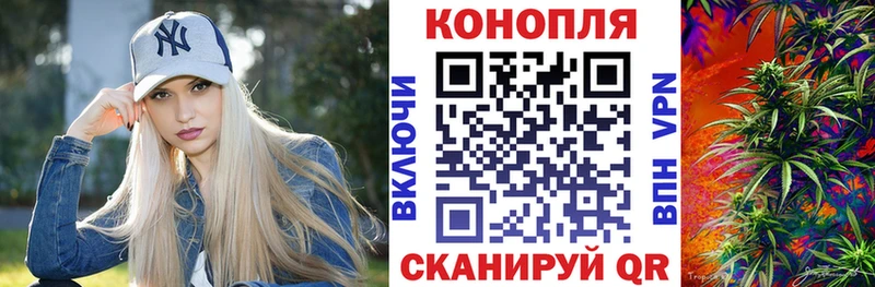 Шишки марихуана марихуана  дарнет шоп  Болгар 